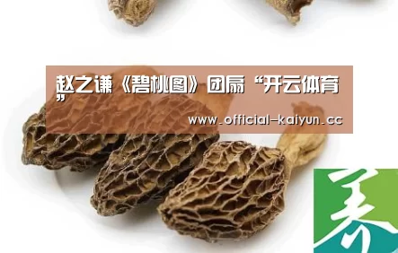 赵之谦《碧桃图》团扇“开云体育”(图1) 开云体育