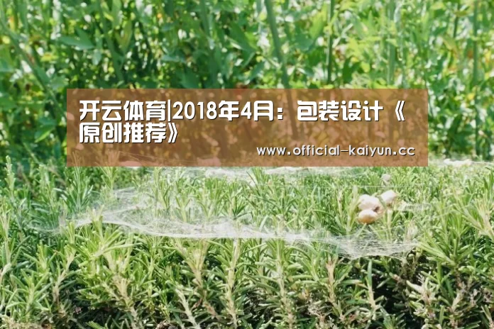 开云体育|2018年4月:包装设计《原创推荐》(图2) 开云App下载